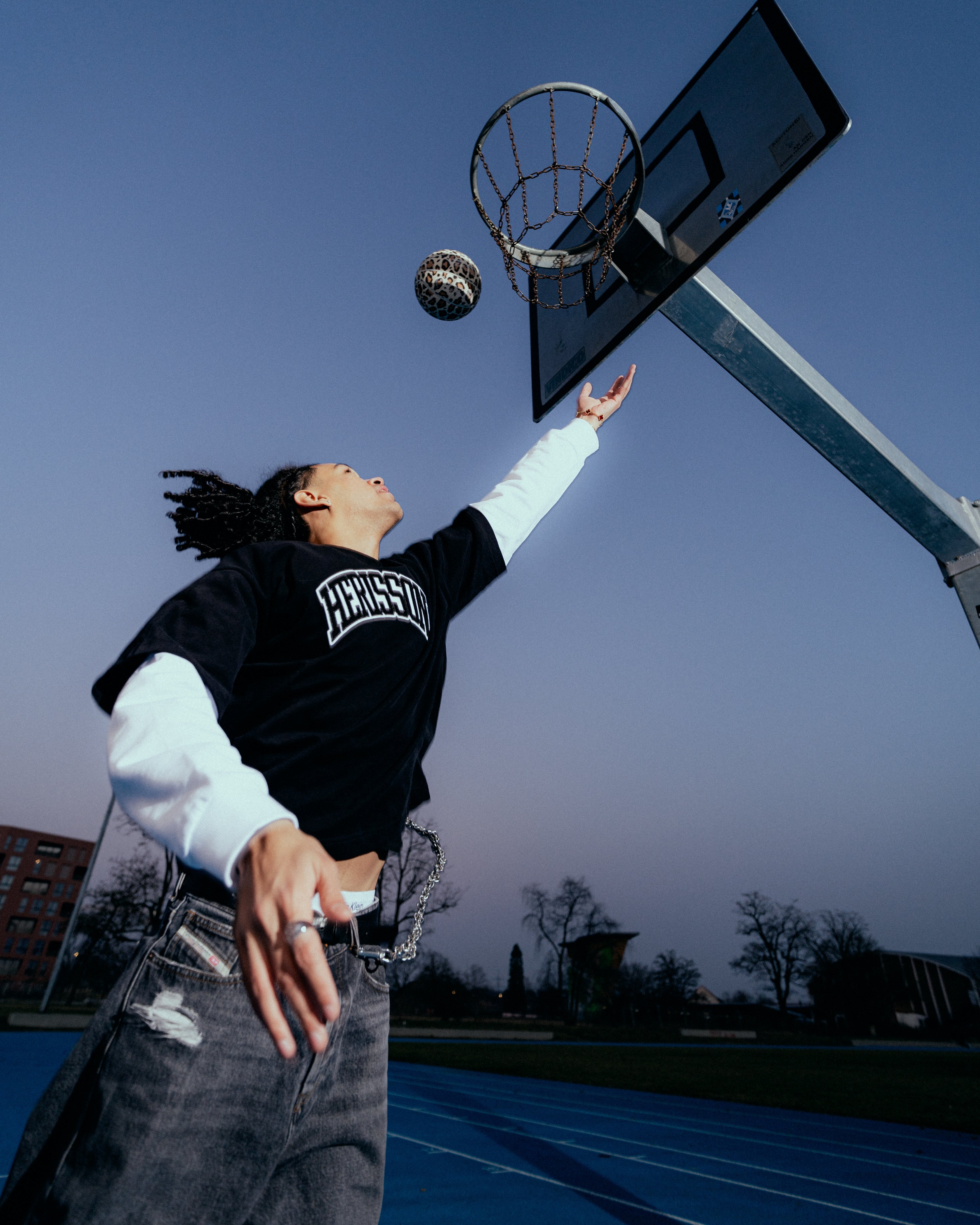 HÉRISSON – Hérisson